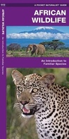 Africa Wildlife an introduction to familiar species