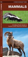 Mammals : An Introduction to Familiar North American Species