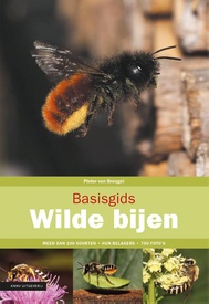 Natuurgids Basisgids Basisgids wilde bijen