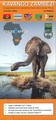 Wegenkaart - landkaart Kavango (Okavango) - Zambezi | Tracks4Africa