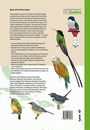 Vogelgids Birds of the West Indies | Lynx