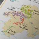 Wandkaart Champagne Carte des Crus (La côte des Blancs) | Wijnkaart van de Champagne | 50 x 100 cm | La carte des vins