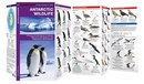 Vogelgids - Natuurgids Antarctic Wildlife | Waterford Press