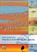 Vogels kijken in de Delta