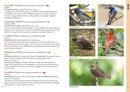 Natuurgids A photographic field guide to the Wildlife of Seychelles - Seychellen | John Beaufoy