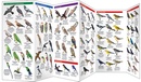 Vogelgids - Natuurgids Caribbean Birds | Waterford Press