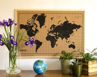 World Map Corkboard 70 x 50 cm