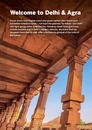 Reisgids Pocket Delhi & Agra | Lonely Planet