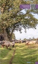 Wandelgids Wandelen langs de Drentsche Aa | Gegarandeerd Onregelmatig