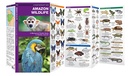 Natuurgids - Vogelgids Amazon Wildlife | Waterford Press
