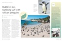 Reisinspiratieboek The Joy of Birdwatching | Lonely Planet