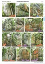 Klimgids - Klettersteiggids 1 Fontainebleau fun bloc escalade bouldering E/F | Jingo Wobly